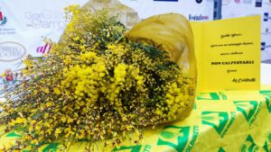 i fiori per blanco