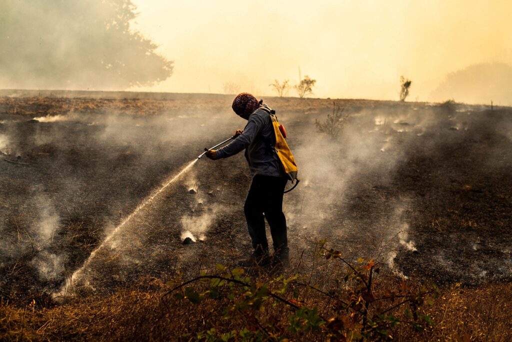 incendi cile