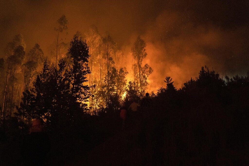 incendi cile