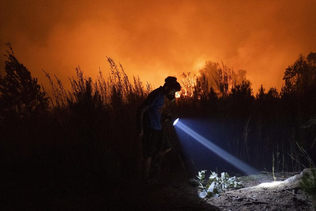 incendi cile