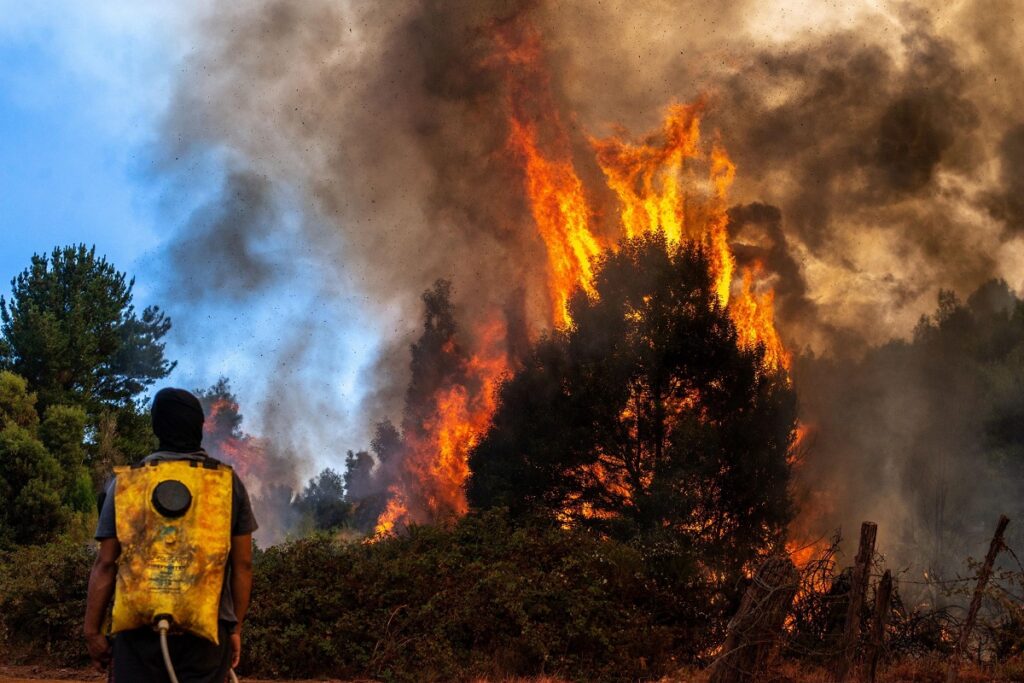 incendi cile