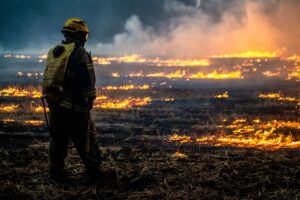 incendi cile