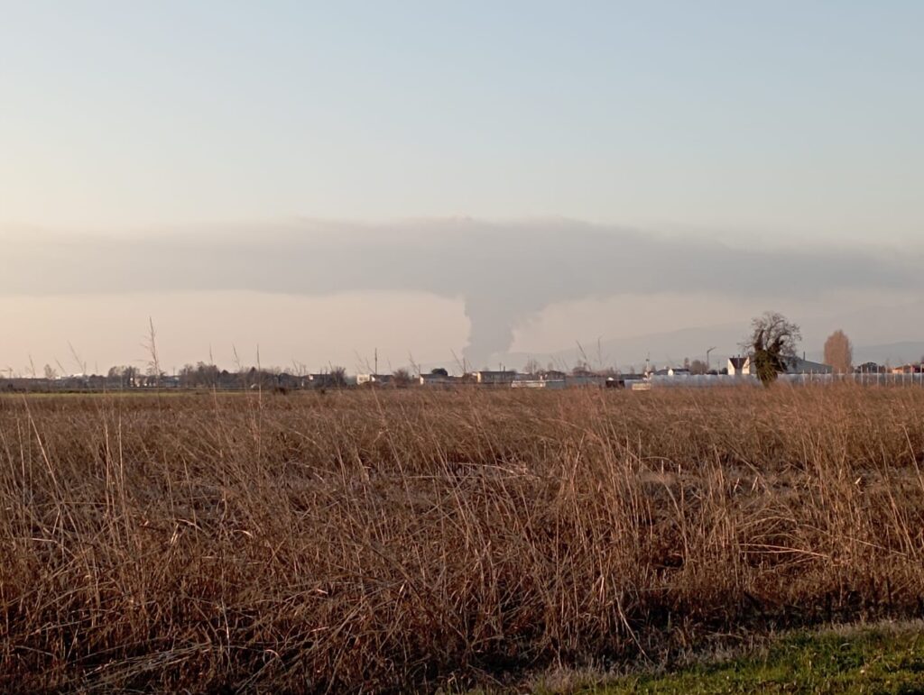 incendio arbizzano
