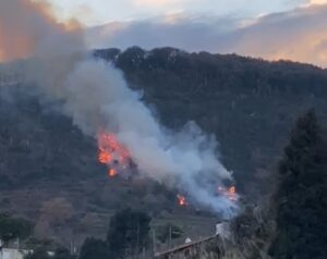 incendio ischia