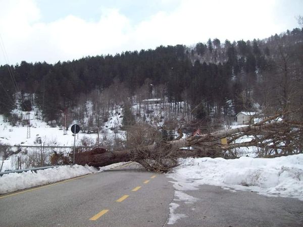 maltempo sila calabria