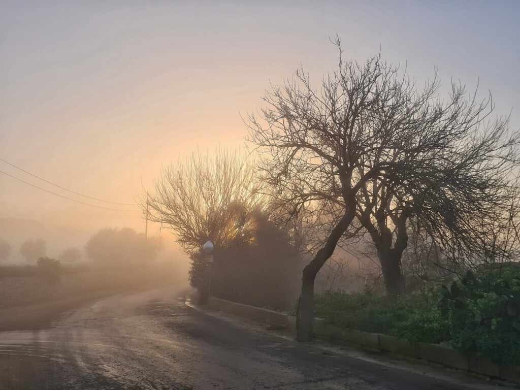 nebbia a malta