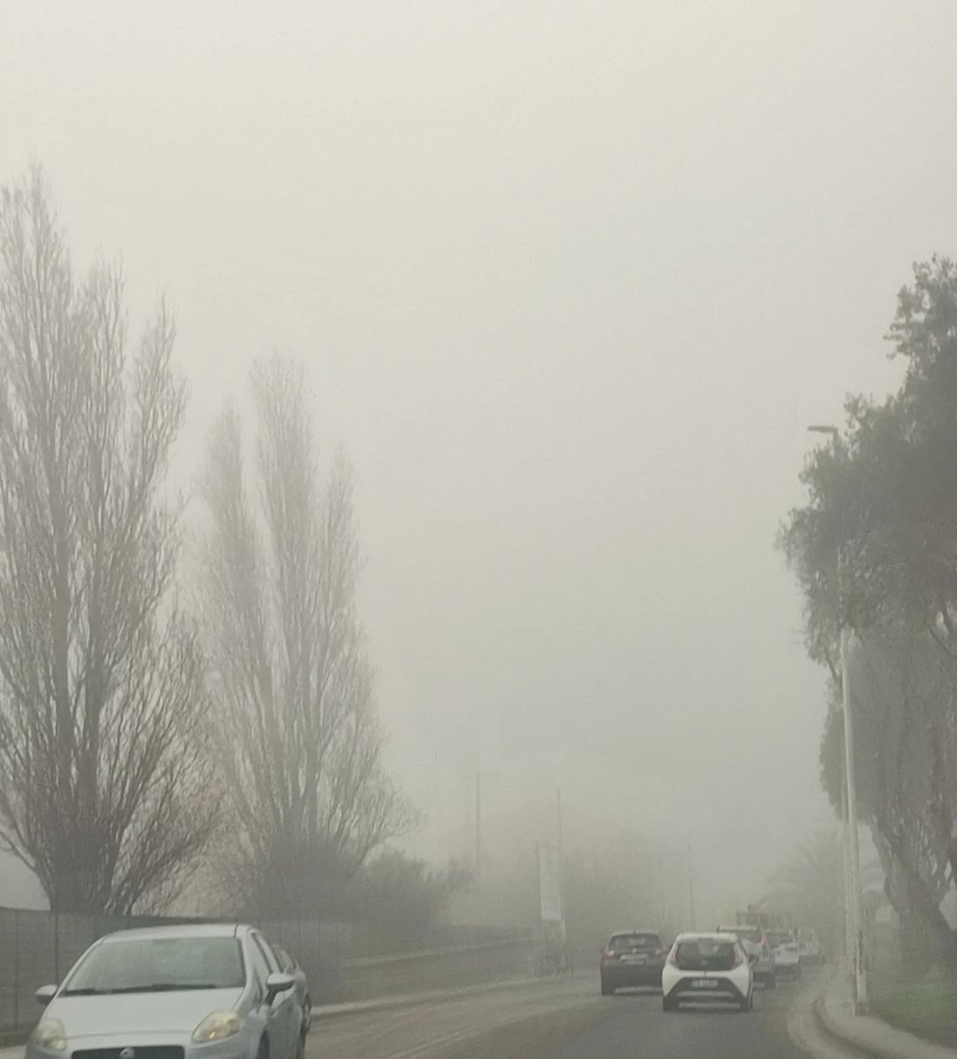 nebbia cagliari oggi 22 febbraio