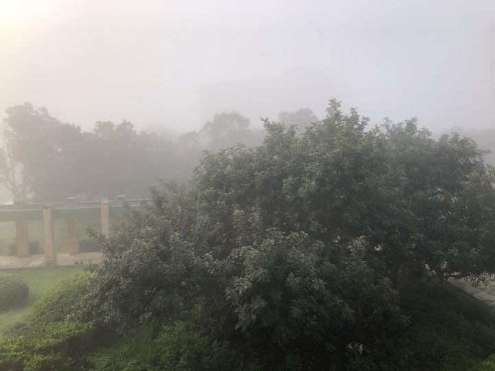 nebbia malta