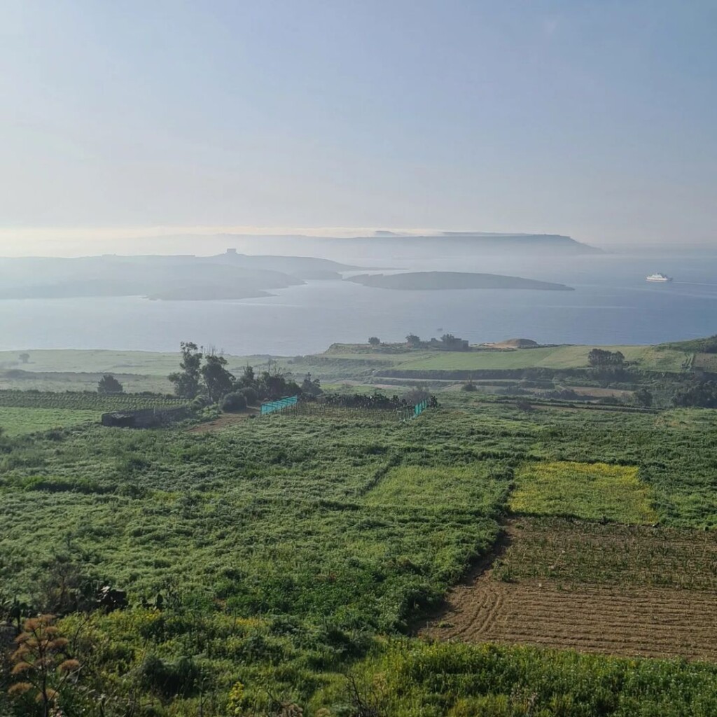 nebbia malta 23 febbraio 2023