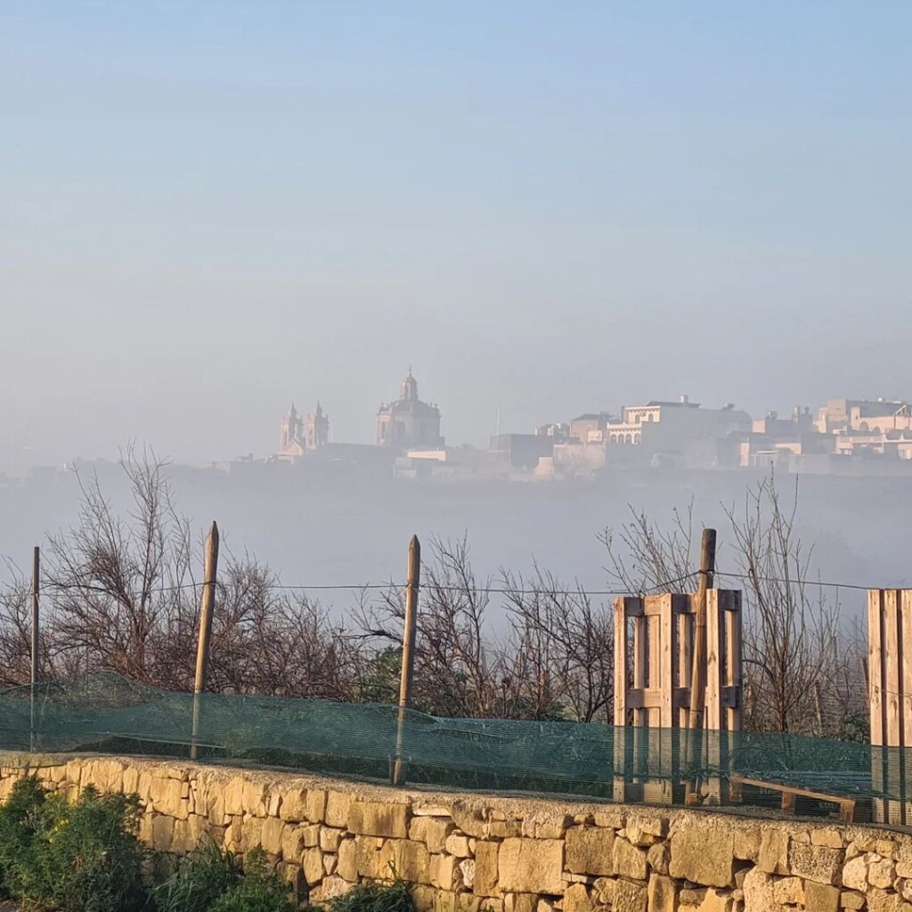nebbia malta 23 febbraio 2023