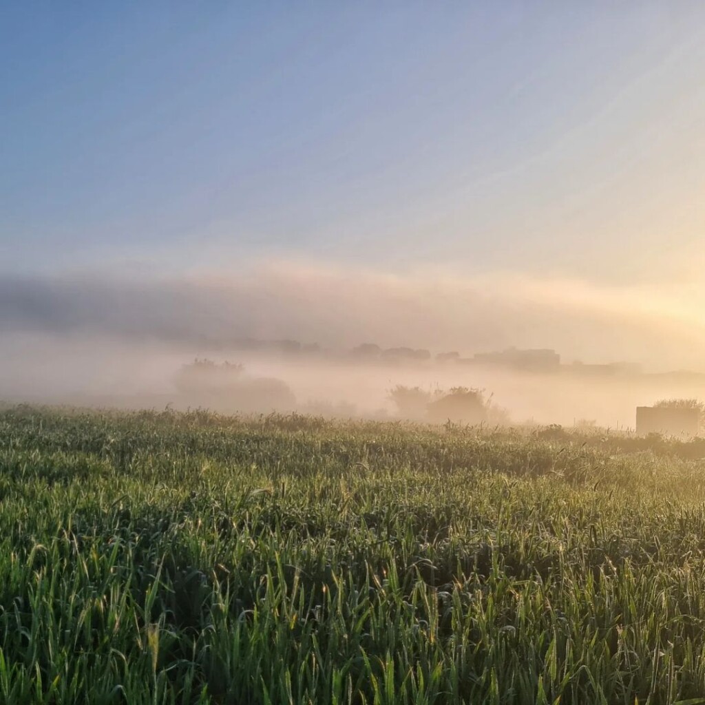 nebbia malta 23 febbraio 2023