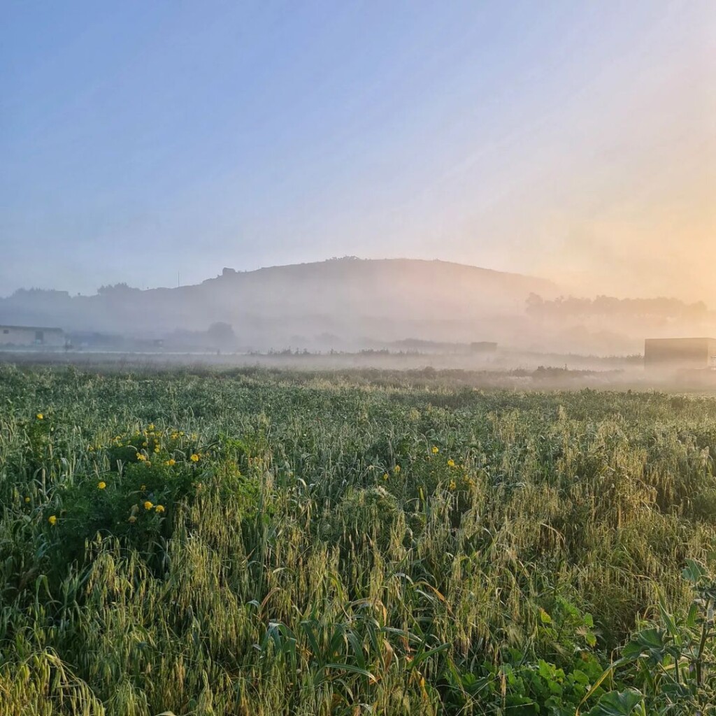 nebbia malta 23 febbraio 2023