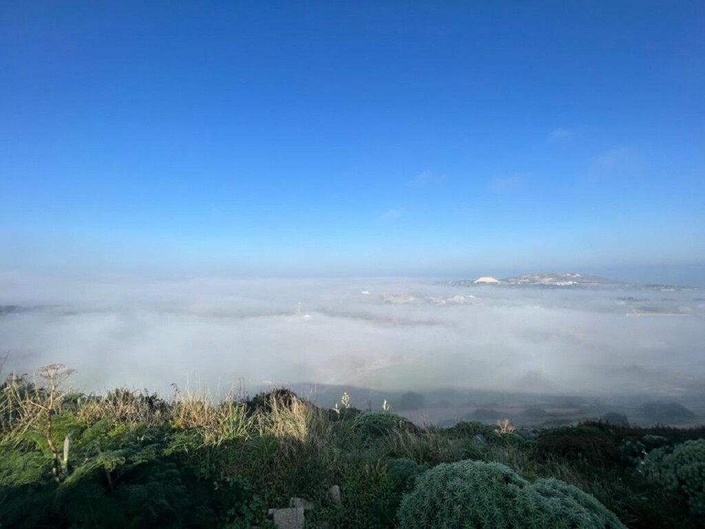 nebbia malta