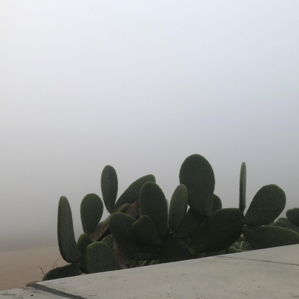 nebbia malta
