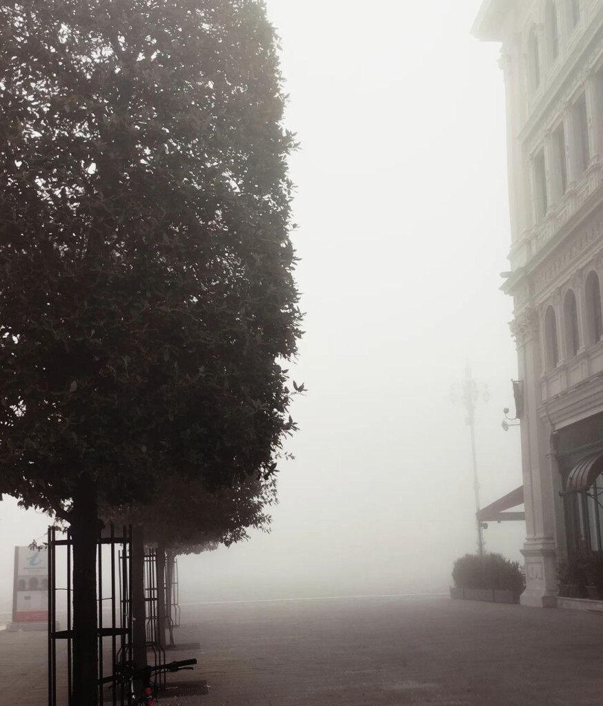 nebbia trieste oggi 22 febbraio