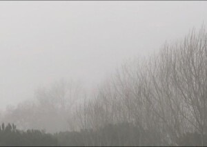 nebbia versilia
