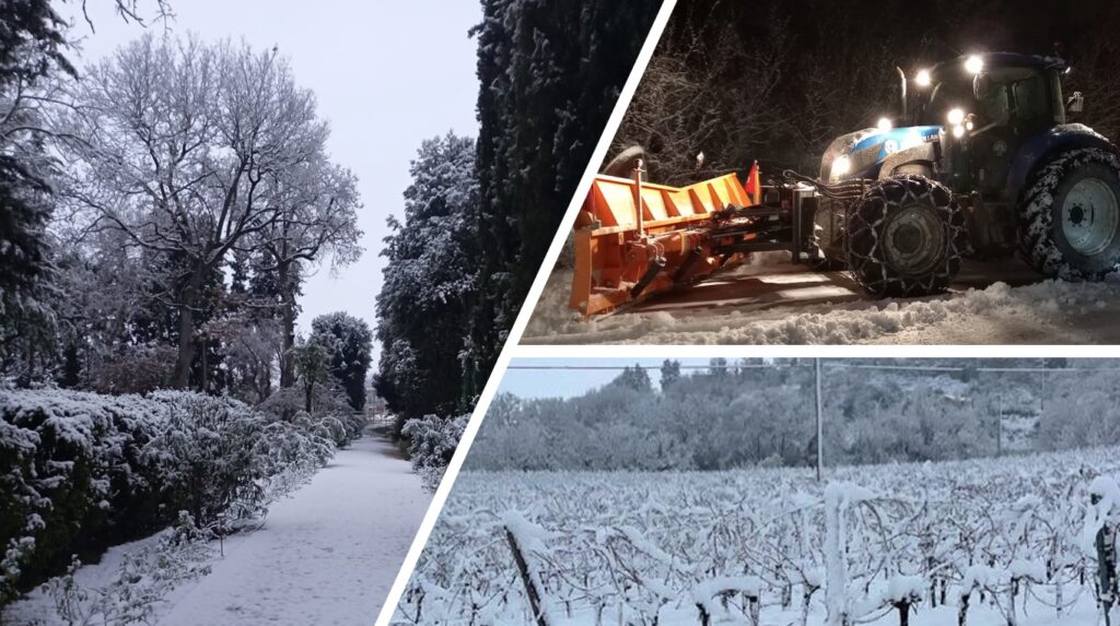 neve 9 febbraio