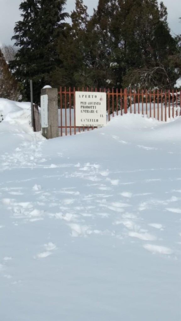 neve aspromonte