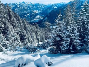 neve austria