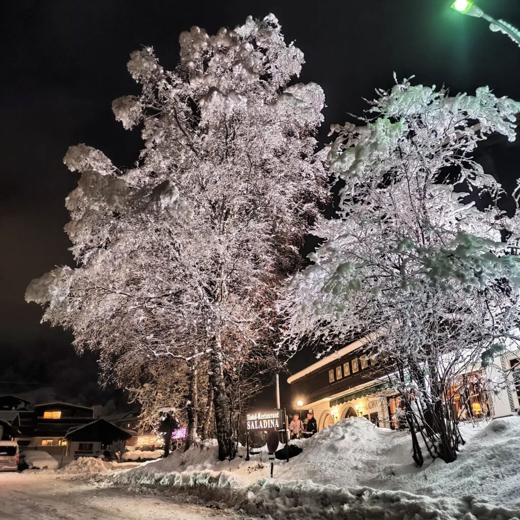 neve austria
