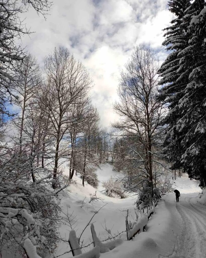 neve bosnia