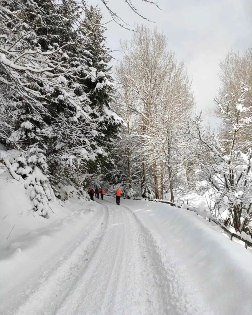 neve bosnia