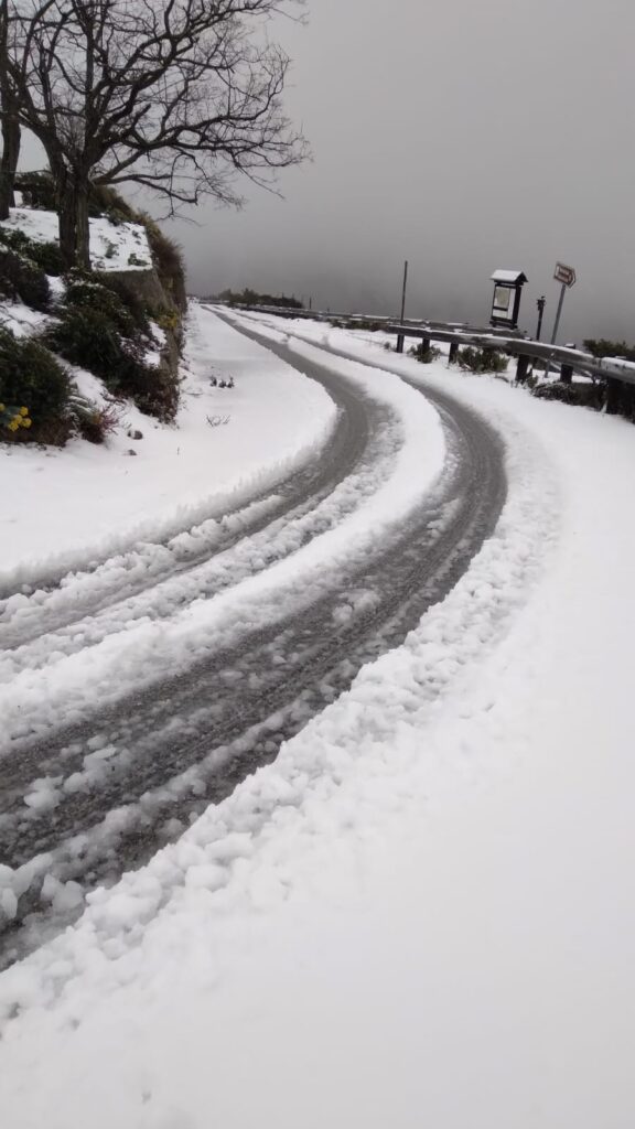 neve bova superiore