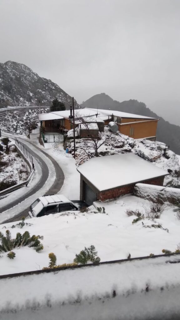 neve bova superiore