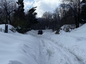 neve etna