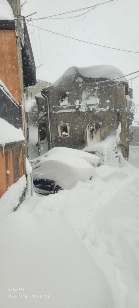 floresta nevicata del secolo 9 febbraio 2023