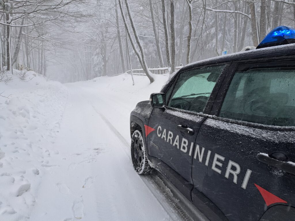 neve petronà calabria