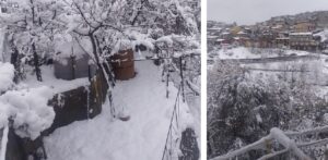 neve sersale