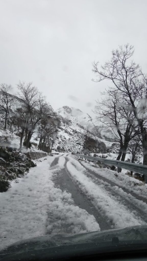 neve strada bova
