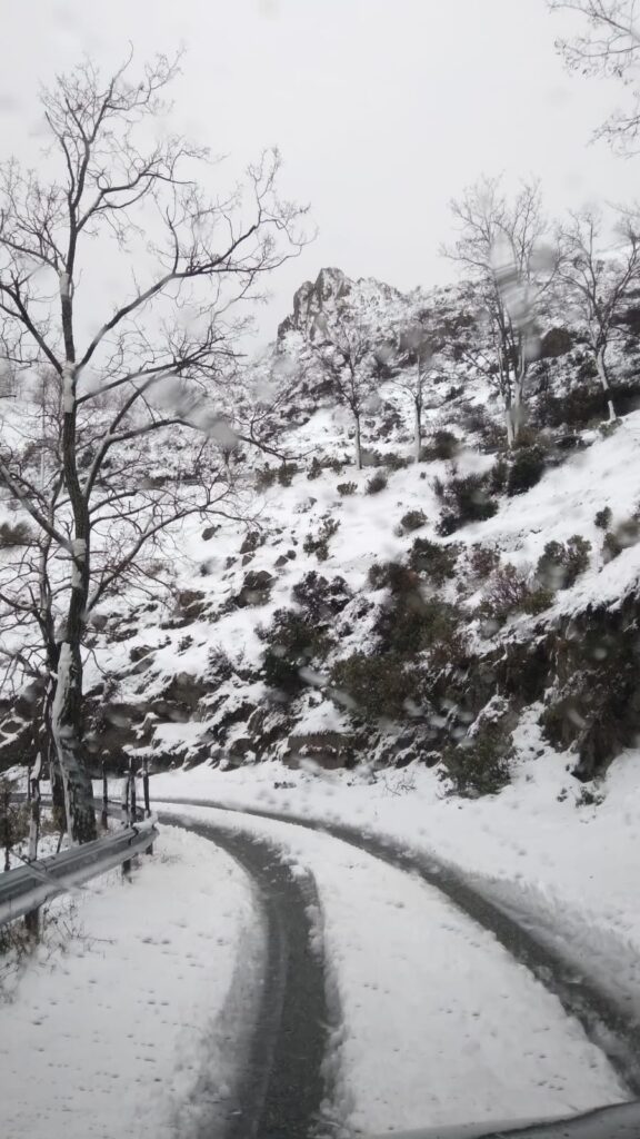 neve strada bova
