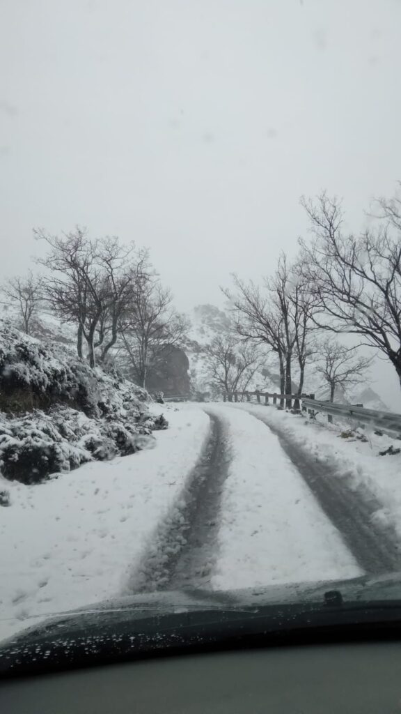 neve strada bova
