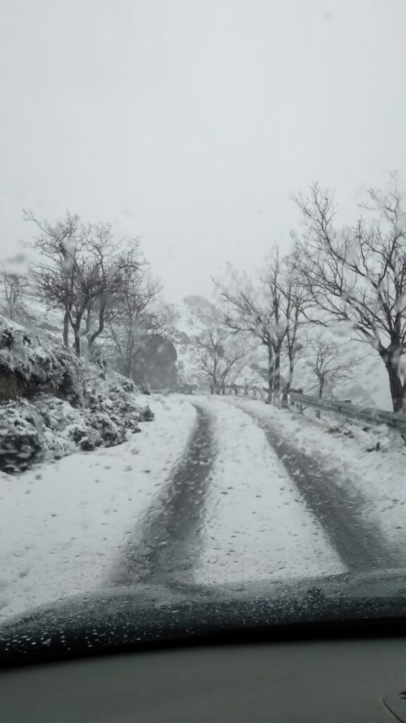 neve strada bova