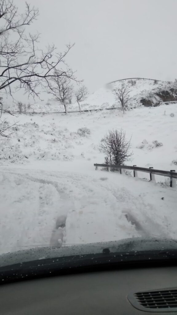 neve strada bova