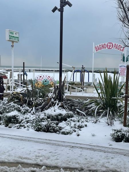 neve rimini