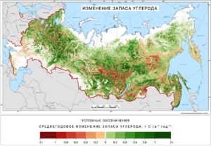 riserve carbonio russia