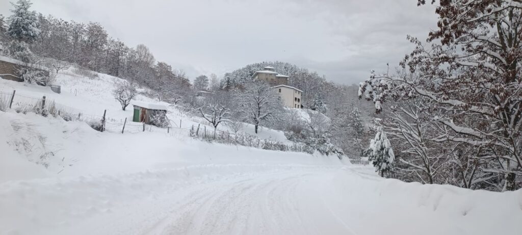 san giovanni in fiore neve 10 febbraio 2023