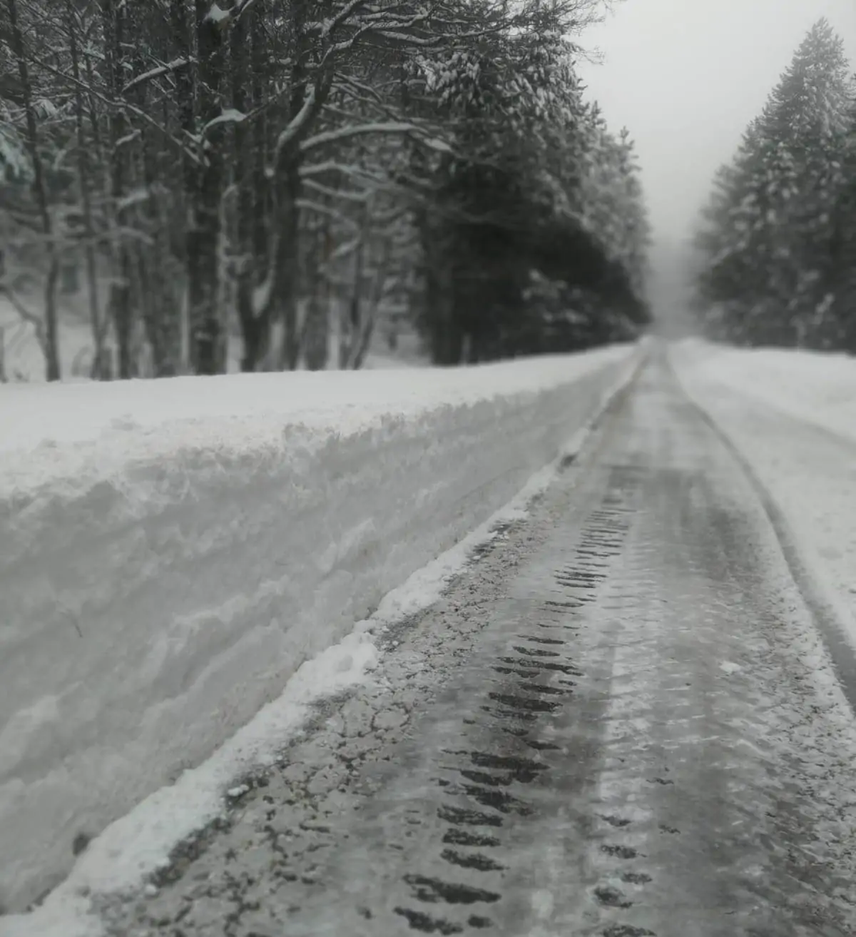 sila neve strada provinciale 208 10 febbraio 2023