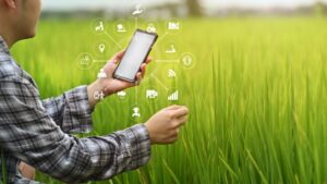 agricoltura sostenibile e risorse agricole