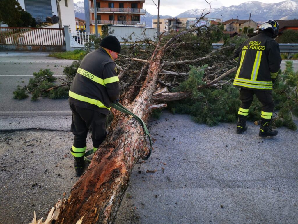 vento albero caduto vigili fuoco
