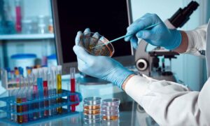 Cinquantesimo congresso microbiologi italiani a Rimini