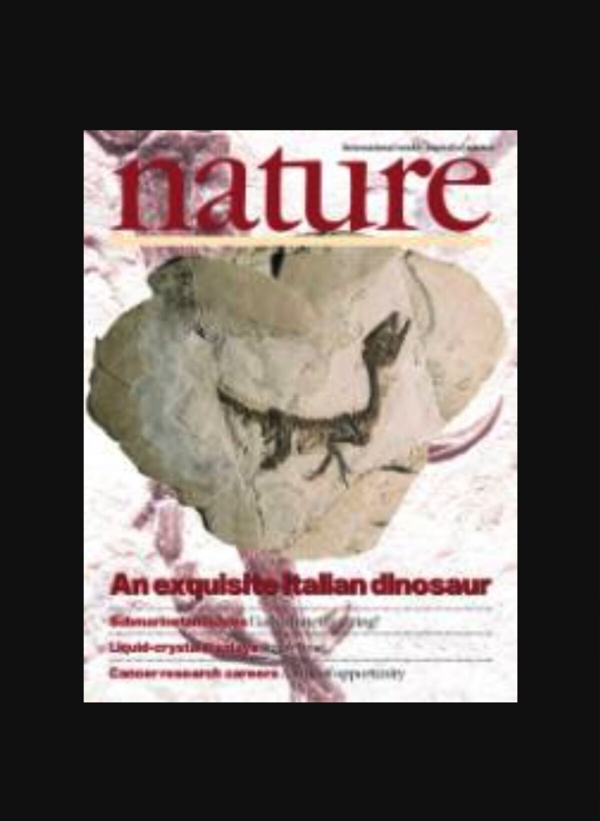Scoperta Dinosauro Ciro pubblicato sulla rivista Nature