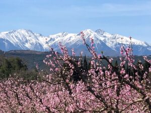 Pianura di Roussillon
