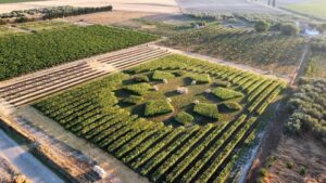 agricoltura e trasformazione 3.0