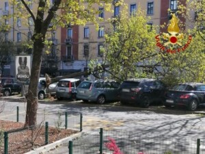 albero vento milano