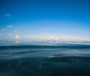 anidride carbonica in mare
