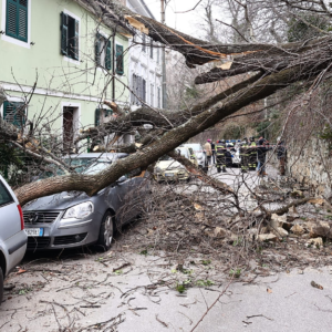 bora friuli venezia giulia